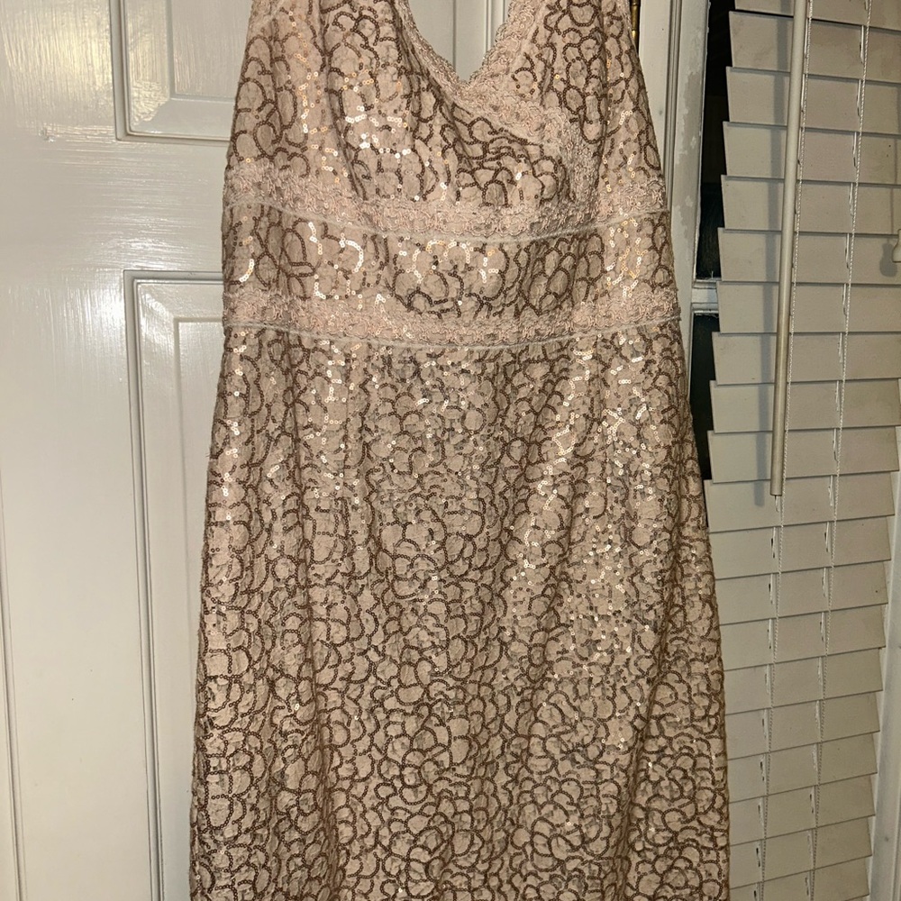 Chic Sequin Lace Midi Dress